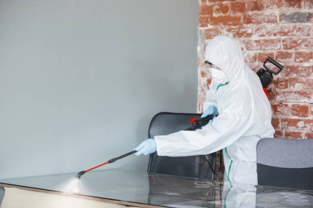  Oxford, PA Mold Removal Pros